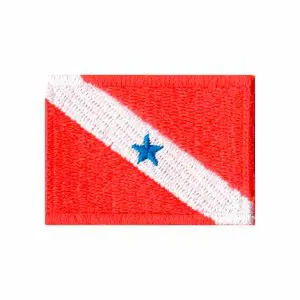 Patch Bordado - Bandeira Do Pará Pequena BD50134-134