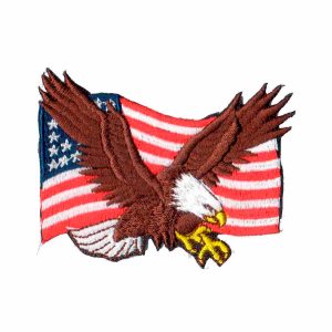 Patch Bordado - Aguia E Bandeira Americana Usa DV80093-289