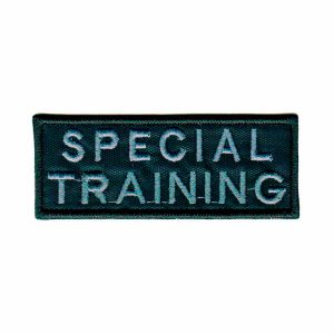 Patch Bordado - Treinamento - Special Trainning PL60167-19P