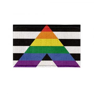 Patch Sublimado Bandeira do Orgulho Aliado LGBTQIA+ 5,5x3,5