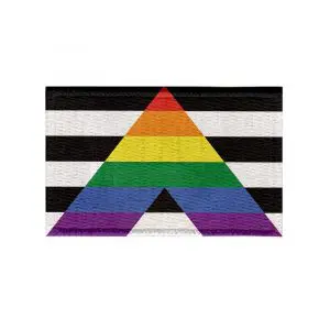 Patch Sublimado Bandeira do Orgulho Aliado LGBTQIA+ 5,5x3,5