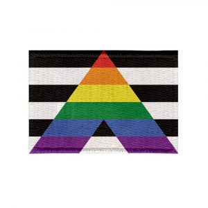 Patch Sublimado Bandeira do Orgulho Aliado LGBTQIA+ 8x5,5