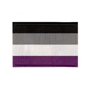 Patch Sublimado Bandeira do Orgulho Assexual 8x5,5
