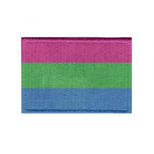 Patch Sublimado Bandeira do Orgulho Polissexual 8x5,5